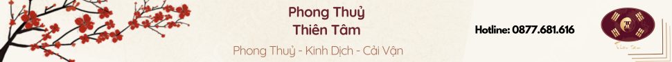Advertisement Banner