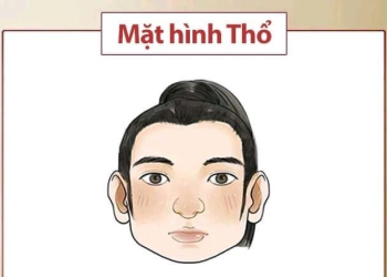 Tướng người vượng Thổ