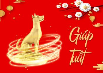 Sinh năm 1994 hợp hướng nào?
