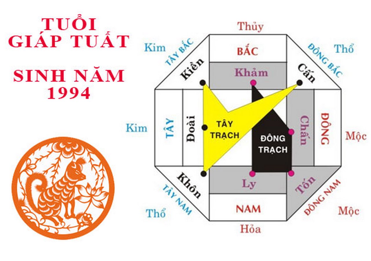 Hướng tốt cho nam mạng 1994