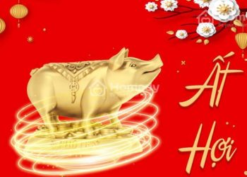Sinh năm 1995 hợp hướng nào?