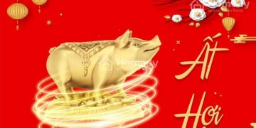 Sinh năm 1995 hợp hướng nào?