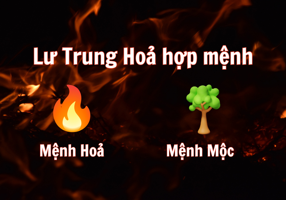 Mệnh hợp với Lư Trung Hỏa
